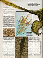 Dinosaures et plumes, Science & Vie 1100, 2009-05 (7)